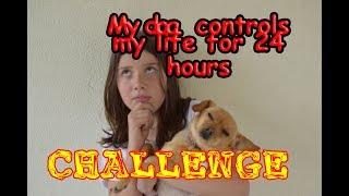 My dog controls my life for 24 hours CHALLENGE