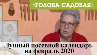 Голова садовая - Лунный посевной календарь на февраль 2020
