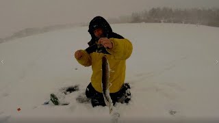 Ловля окуня на безмотылку. Рыбацкий стан