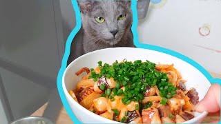 고양이와 함께 문어덮밥을 해보았습니다. 냐!~
