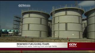 A look at nuclear power: do risks outweigh benefits?