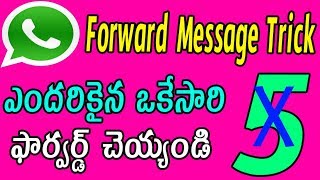 Whatsapp forward message trick | whatsapp latest tricks telugu | whatsapp hidden tricks