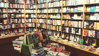 Hund in Buchhandlung von Mrs. Fontana - Sternenschweif Kapitel 3