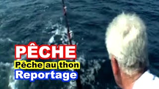 PÊCHE : Le thon en Méditerranée.