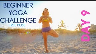 Day 9 Beginner Yoga Challenge: Grow Your Roots in Tree Pose