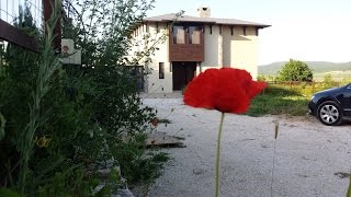 Дома у моря и леса в Болгарии в пригороде Варны