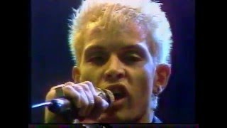 Billy Idol - Thommys Pop-Show extra - 08.12.1984  Video 2000 Cap.