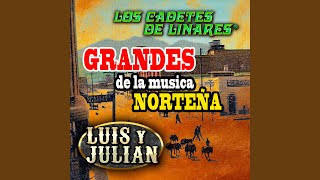 Troncos Y Palos Gruesos