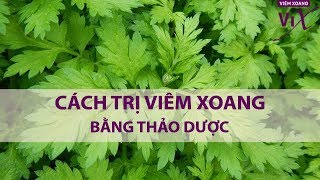 Trị VIÊM XOANG bằng THẢO DƯỢC  | CHUYÊN ĐỀ SỨC KHỎE