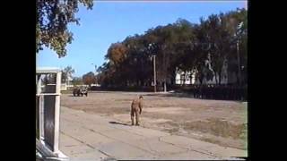 156 зрп- присяга (в/ч А-1402) АЛЕКСЕЕВКА 2005 год