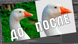 Как вырезать изображение в Photoshop