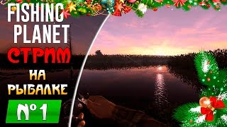 Fishing Planet ● На рыбалке ● СТРИМ №01