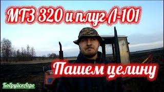 МТЗ 320 и плуг Л-101, пашем целину под малину