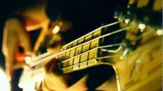 Peavey T-40 Fuzzzzz