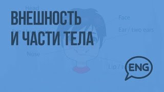 Внешность и части тела. Видеоурок по английскому языку 3 класс