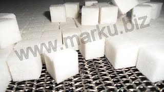Full automatic sugar cube machine, Автоматическая линия для сахара рафинада 900gr.