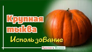 Крупная тыква. Варианты использования. Просто, быстро, вкусно.