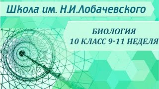 Биология 10 класс 9-11 неделя Клетка. Органоиды клетки