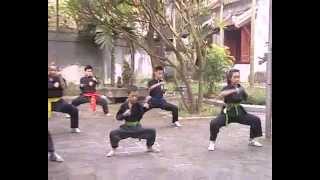 Tinh hoa võ thuật - Môn phái Nam Hồng Sơn - Võ sư Nguyễn Tỵ