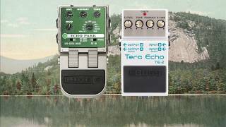 Line 6 Echo Park & Boss Tera Echo | Pedal Friends 3