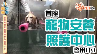 【哈寵PETube】第111集 首座寵物安養照護中心啟用(下) #編走編看