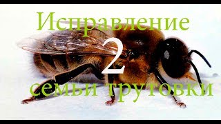 Исправление семьи трутовки  часть 2