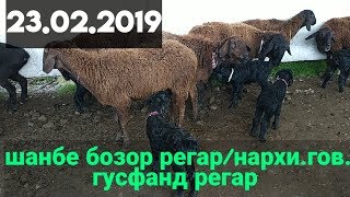 шанбе бозор регар / мол бозор регар 23 .02.2019