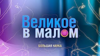 Великое в малом. Проблемы современного образования.