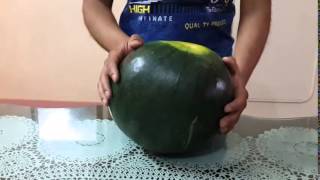 ازاى تعرف البطيخة حمرا ولا بيضا - تجارب