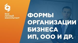 Формы организации бизнеса это. Какие преимущества и недостатки в ИП и ООО