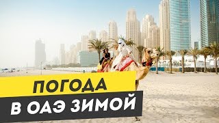 Погода в ОАЭ Зимой. Эмираты в феврале. Температура в Дубае