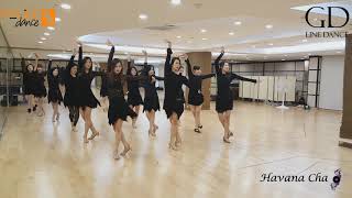 Havana Cha - Line Dane (GD-Nuline Dance Korea)