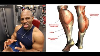How to Grow Calf Muscles #LIFT4LIFE