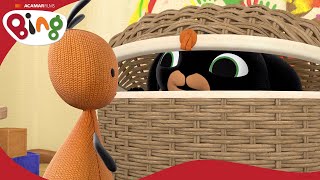 Hide And Seek | Bing Full Episode | Bing Official