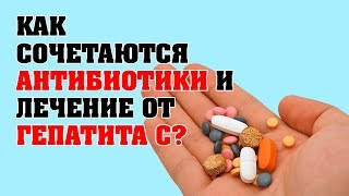 Как сочетаются антибиотики и лечение от  гепатита С?