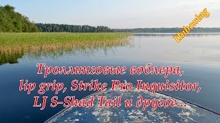 Троллинговые воблера, lip grip, Strike Pro Inquisitor, LJ S-Shad Tail и другое...