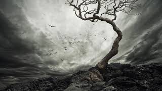 The Ashen Tree - Memories in Monochrome (Melodic Death Doom Metal, 2018)