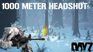1000 METER HEADSHOT! Making New Friends in DayZ (Winter Chernarus)
