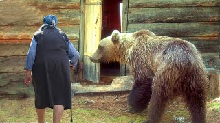 А ну вон отсюда! Кричала бабушка огромному медведю. Тот на секунду задумался, а потом.