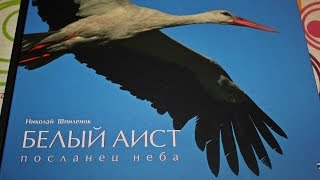 Обзор книг "Белый аист. Посланец неба. Черный аист. Лесной отшельник."