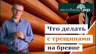 Что делать с трещинами на бревне?