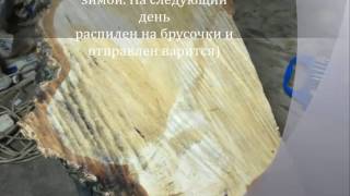 Как высушить березовый сувель