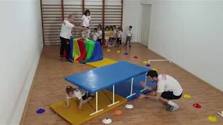 Školica sporta Sportisimo (Jagodina) - Šareno brdo i plavi tunel (poligon za decu od 4 godine)