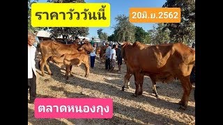 ราคาวัวขาว/วัวแดงวันนี้ 20 มิถุนายน2562  ตลาดหนองกุง :Ep223#byนายฮ้อยซี8