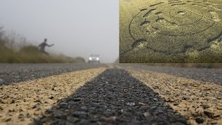 Newest Crop Circles 2017 Sightings