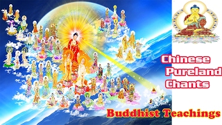 Chinese Pureland Chants .Buddhist Teachings