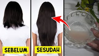 RESEP DARI NENEK! HANYA PAKAI INI, RAMBUT TUMBUH LEBAT + PANJANG MENGGILA HANYA DALAM BEBERAPA HARI
