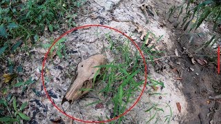 Bigfoot In Georgia? | Part 2 | Native American Artifacts Found
