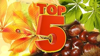 ТОП 5 развивающих осенних игр с каштанами для малышей