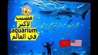 Vlog#17 مغربي في امريكا ||مشيت لولاية جديدة